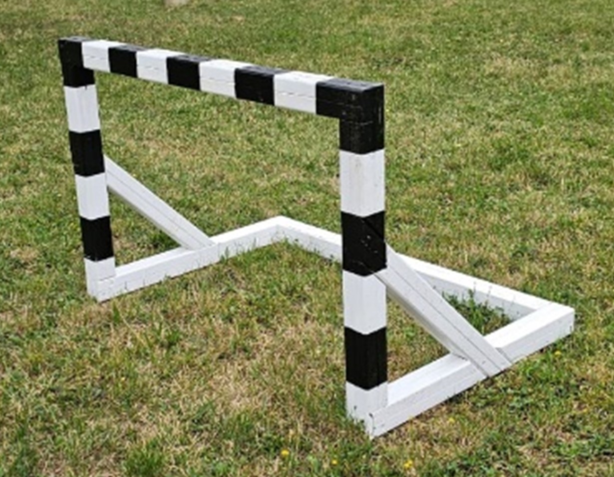 Igrala mini gol vias